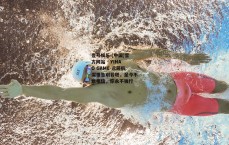 壹号娱乐 (中国)官方网站 - YIHAO GAME-远藤航深情告别若塔，至今不敢相信，你永不独行